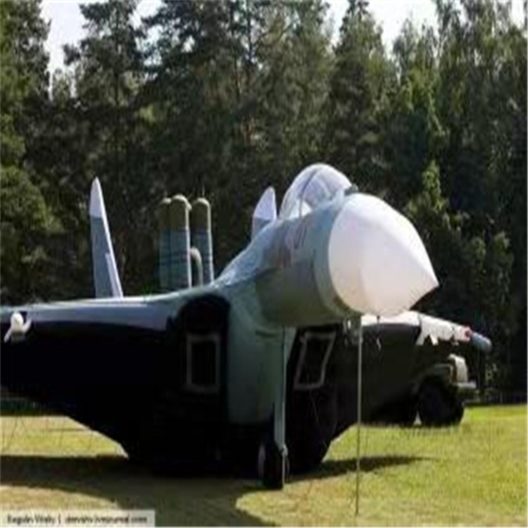 桂林充气模型飞机制造商家